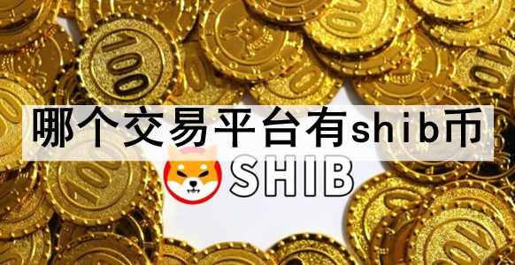 ĸƽ̨shib ̵ǰʮʵõshibҽƽ̨