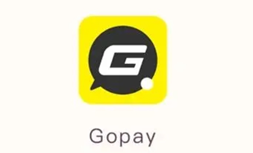 gopayǮ°-gopayǮʽv5.2.4