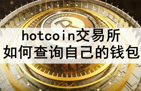 hotcoinβѯԼǮ hotcoin鿴Ǯķ