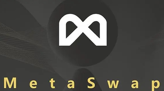 metaعٷ-metaƶ˰v6.3.1