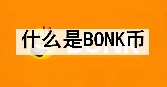 ʲôBONK BONKҵϢһ