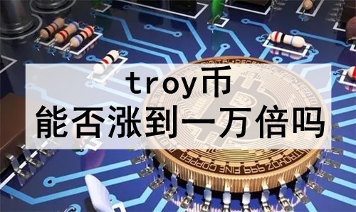 troyܷǵһ troyҼֵǵһ򱶵ıַ