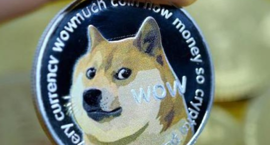 ʲô ҪôȡDogecoin